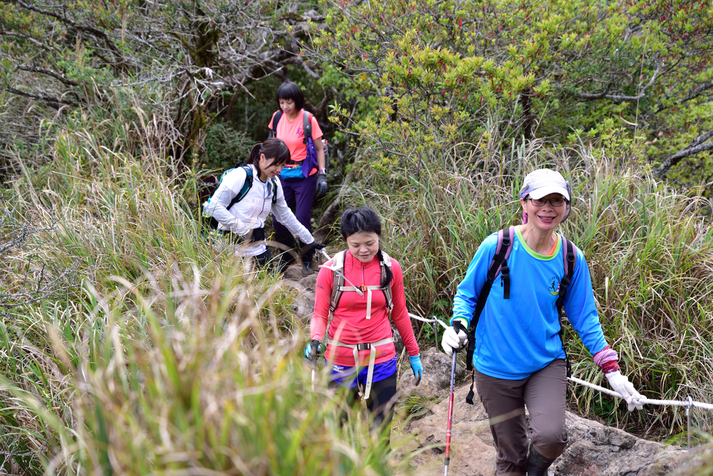 DSC_5654_2016.JPG - 2018加里山