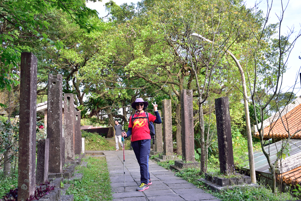 DSC_6368_8067.JPG - 20210221桃源谷
