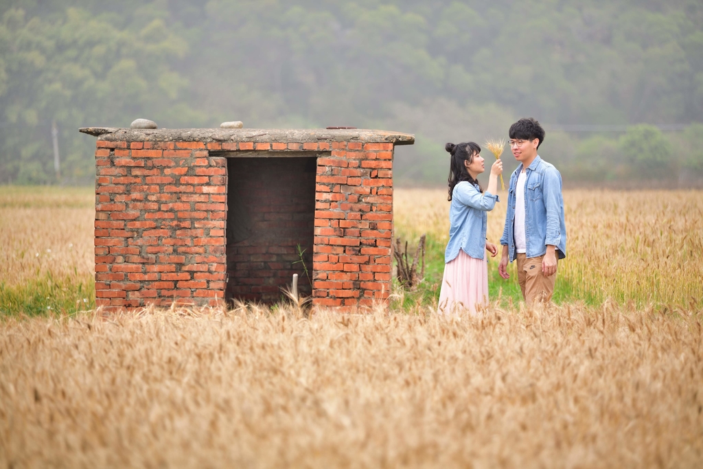 DSC_1844.JPG - 魅力小鎮苑裡私房景點