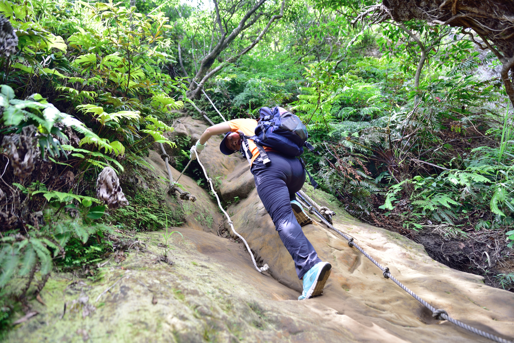 DSC_6209_2426.JPG - 2018平溪孝子山