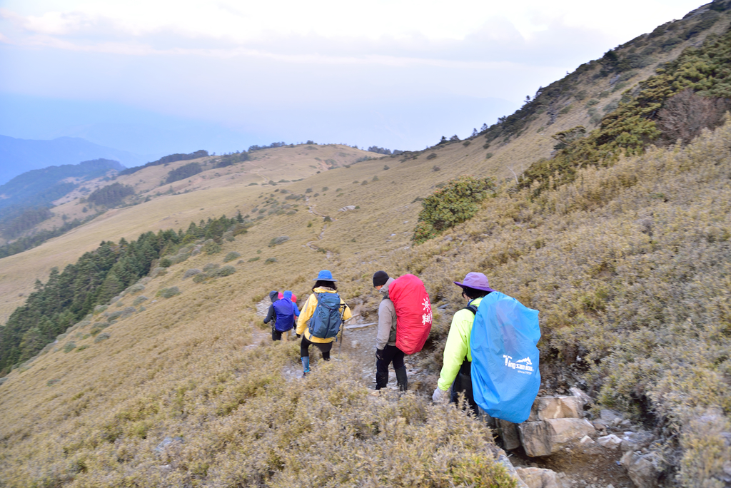 DSC_9806_4364.JPG - 南湖D5