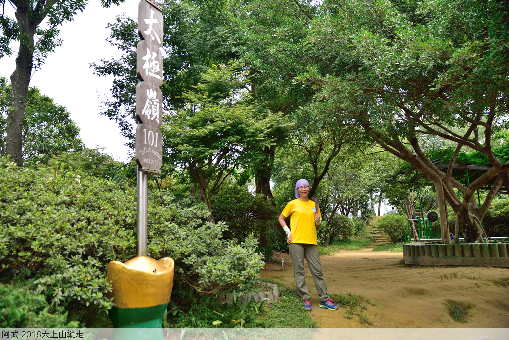 DSC_6480_2651.JPG - 2018天上山縱走