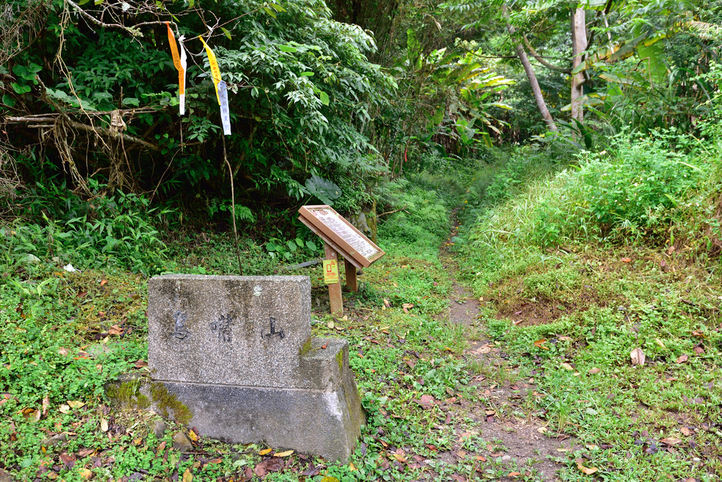 DSC_5258_7209.JPG - 20200905上島山