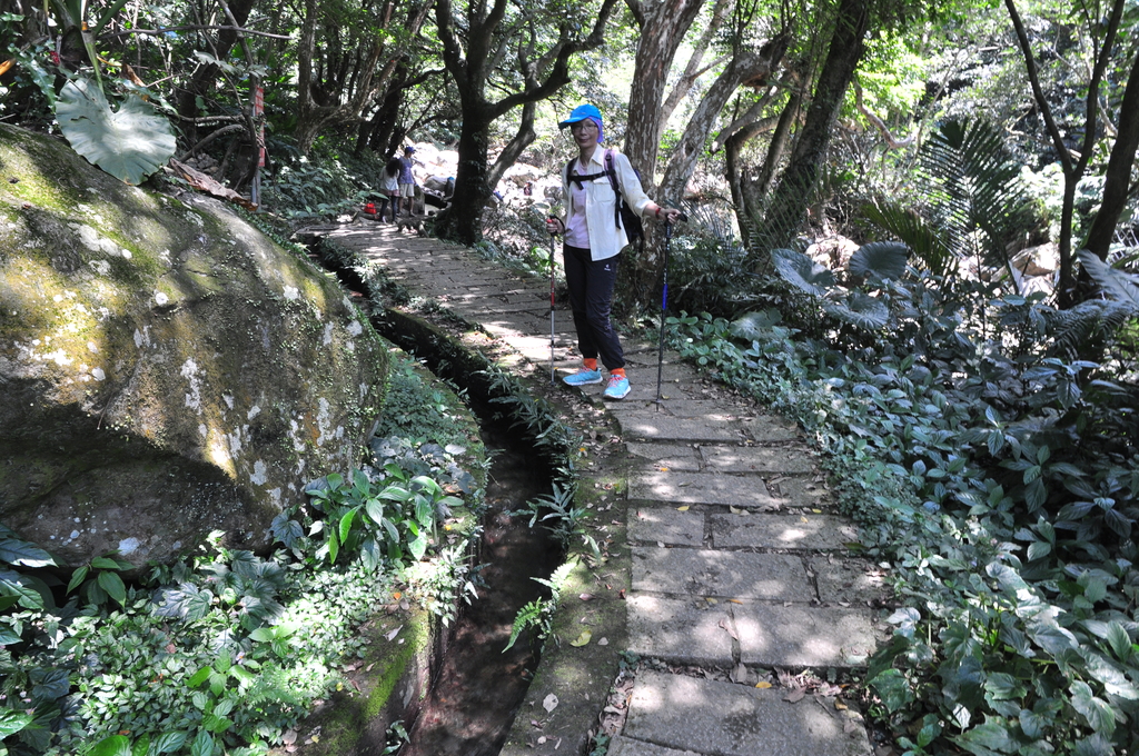 DSC_3004.JPG - 2017青山瀑布健行順遊富貴角燈塔