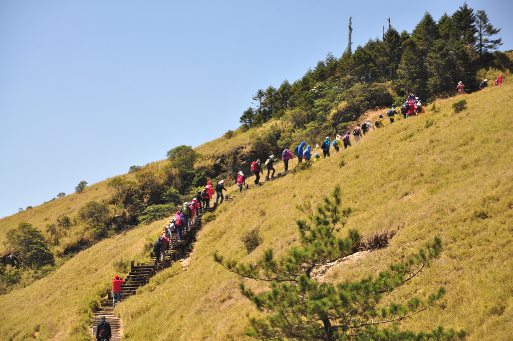 DSC_1899.JPG - 20170429合歡群峰