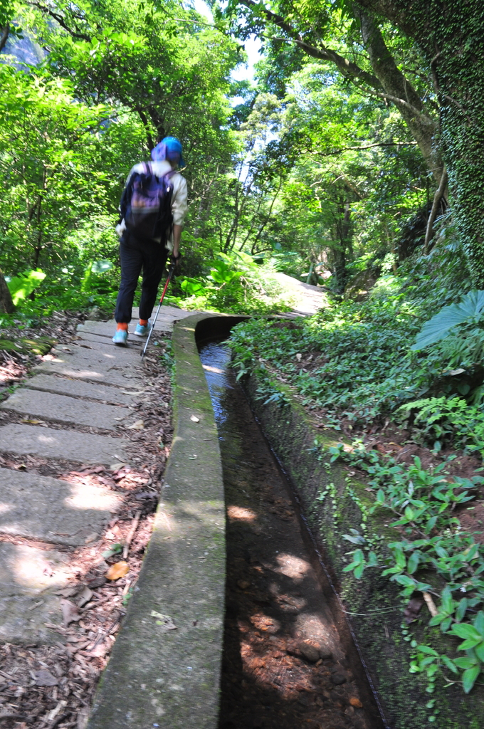 DSC_3007.JPG - 2017青山瀑布健行順遊富貴角燈塔