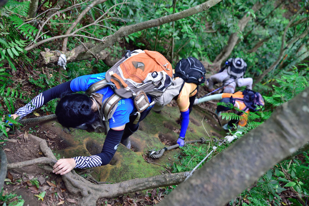 DSC_6259_2461.JPG - 2018平溪孝子山