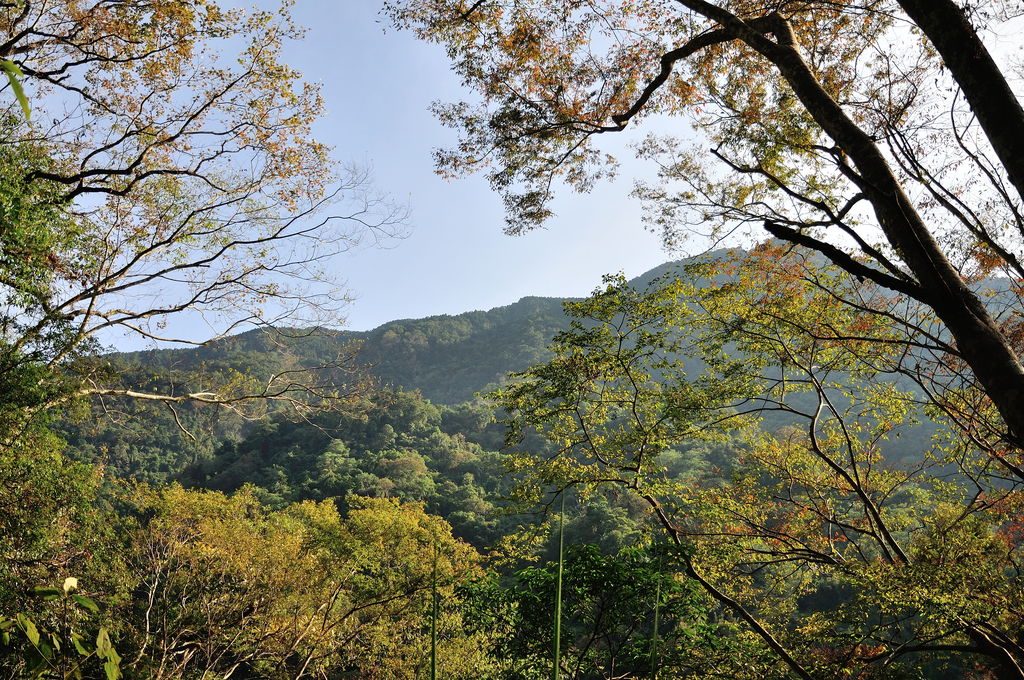 DSC_4244_173.JPG - 2017虎山