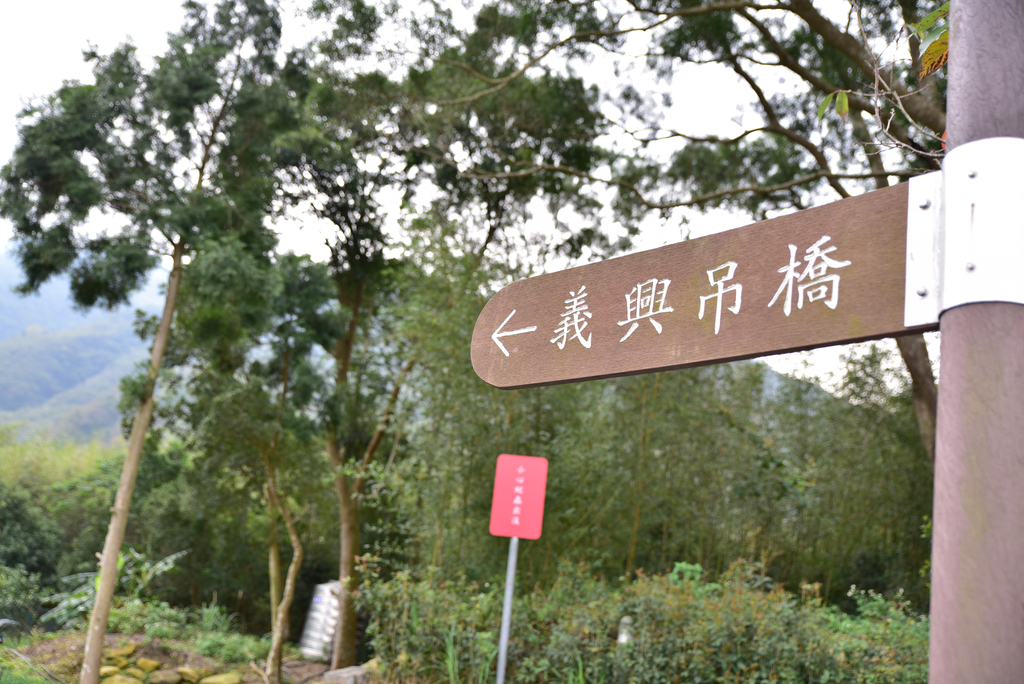 DSC_4895_1569.JPG - 2018新溪口吊橋