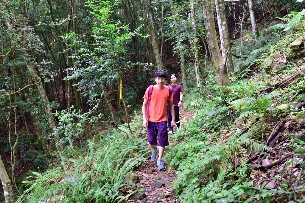 DSC_5300_7226.JPG - 20200905上島山