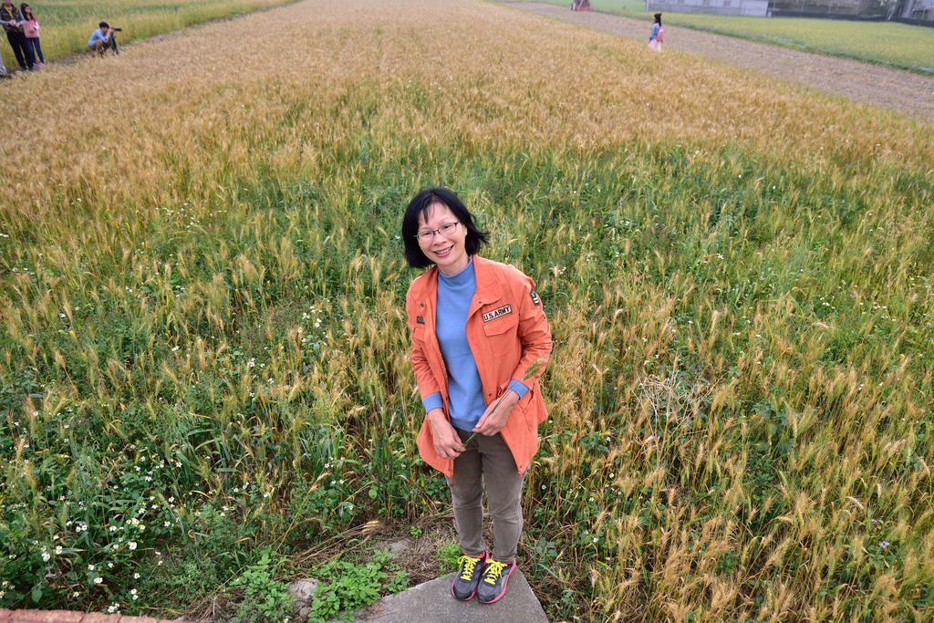 DSC_7896_3343.JPG - 魅力小鎮苑裡私房景點