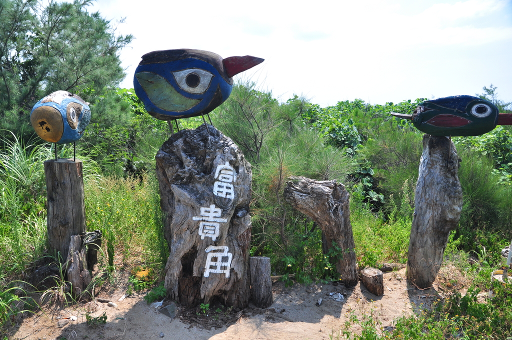 DSC_3014.JPG - 2017青山瀑布健行順遊富貴角燈塔