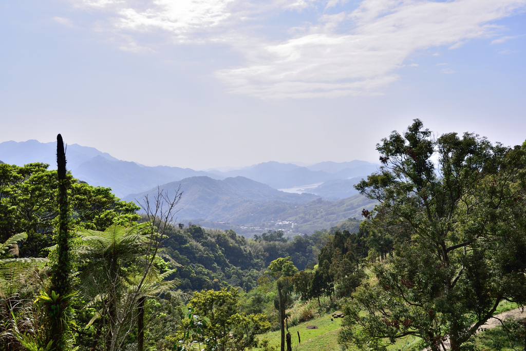 DSC_2812_6048.JPG - 0315三民蝙蝠洞登金平山