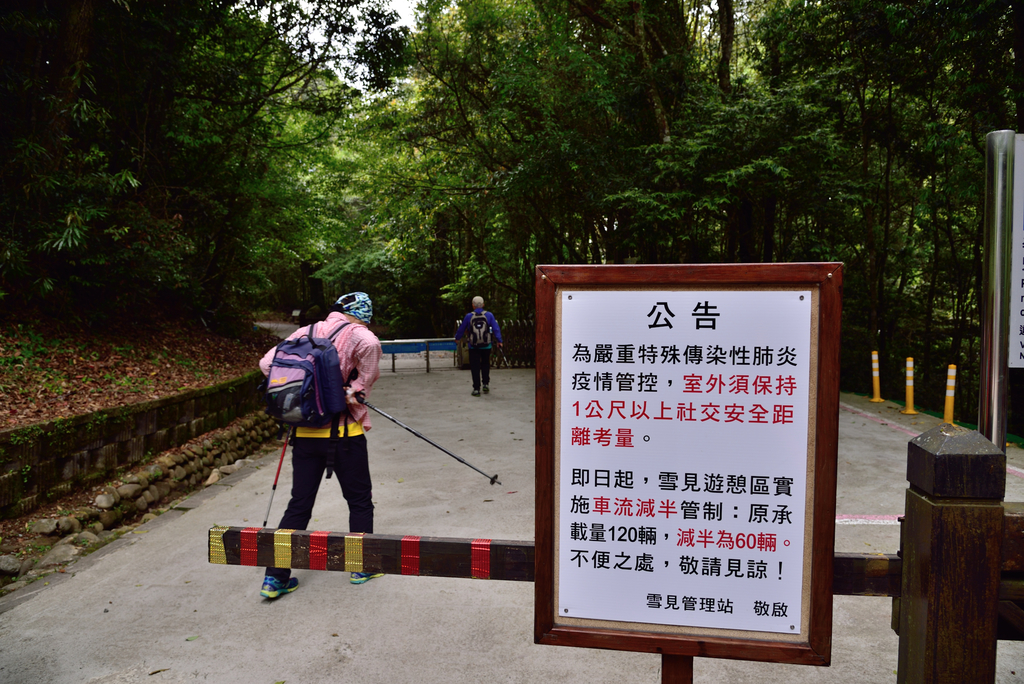 DSC_3352_6283.JPG - 0501北坑山大板根