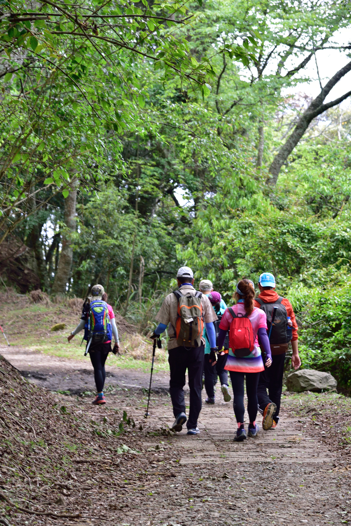 DSC_3404_6320.JPG - 0501北坑山大板根