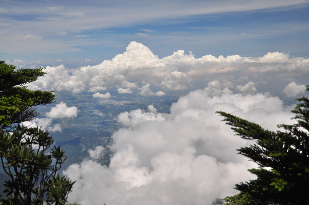 DSC_2620.JPG - 2017北大武山