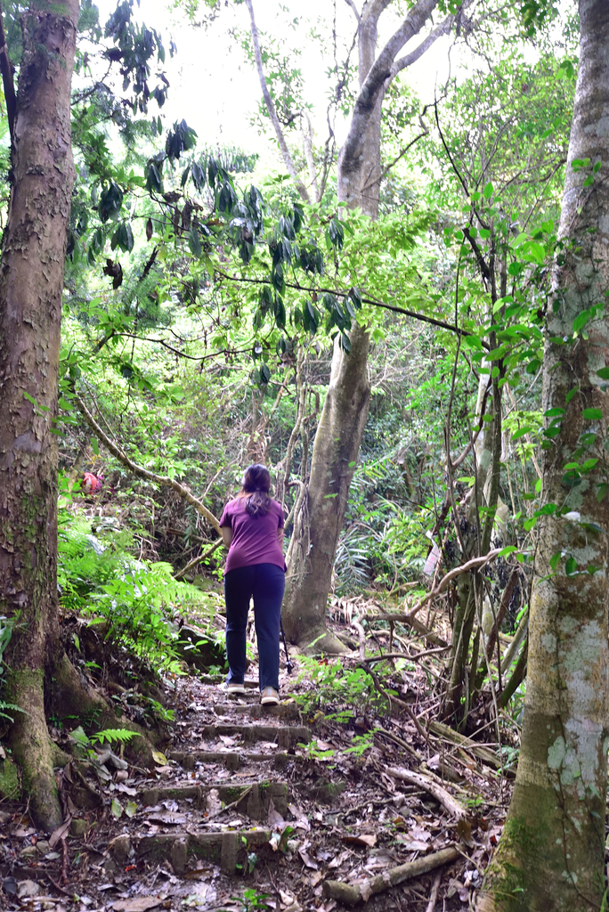 DSC_5267_7213.JPG - 20200905上島山