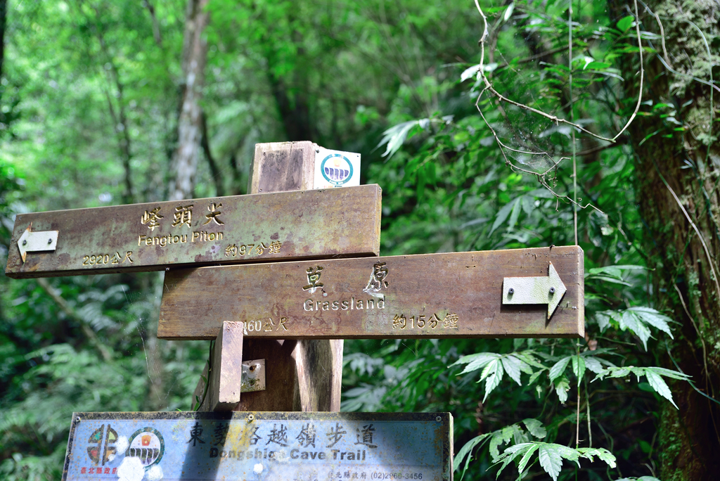 DSC_6292_2477.JPG - 2018平溪孝子山