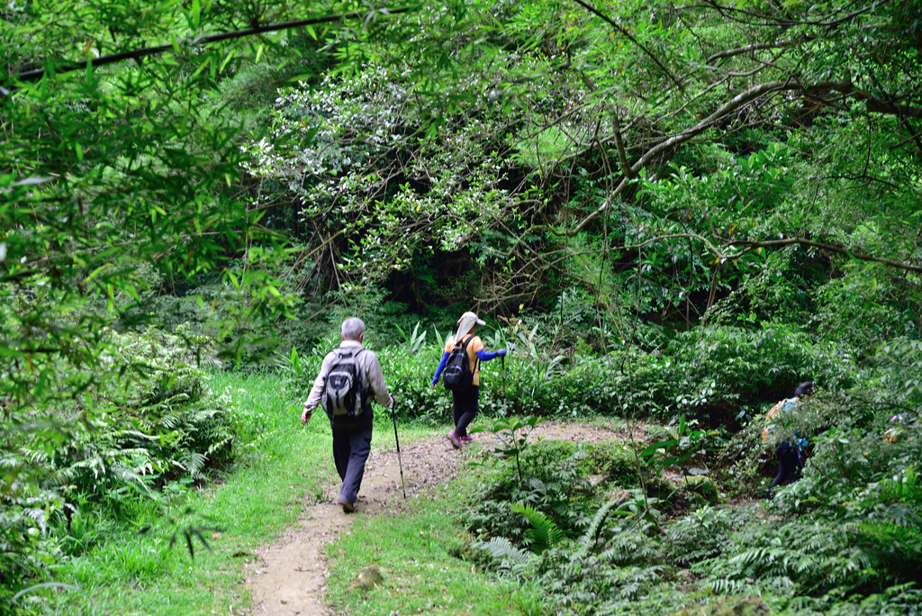 DSC_6296_2478.JPG - 2018平溪孝子山