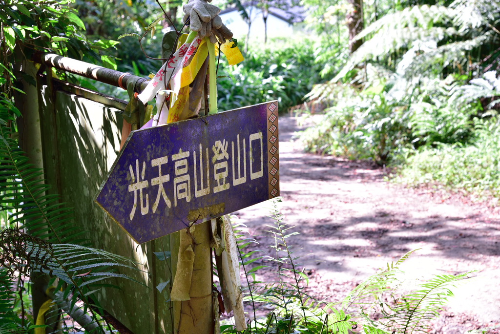 DSC_0801_4845.JPG - 20190720登向天湖山