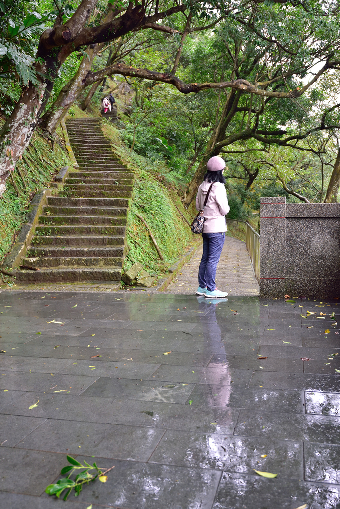 DSC_2372_5845.JPG - 楓情款款—拱北殿2020/01/01