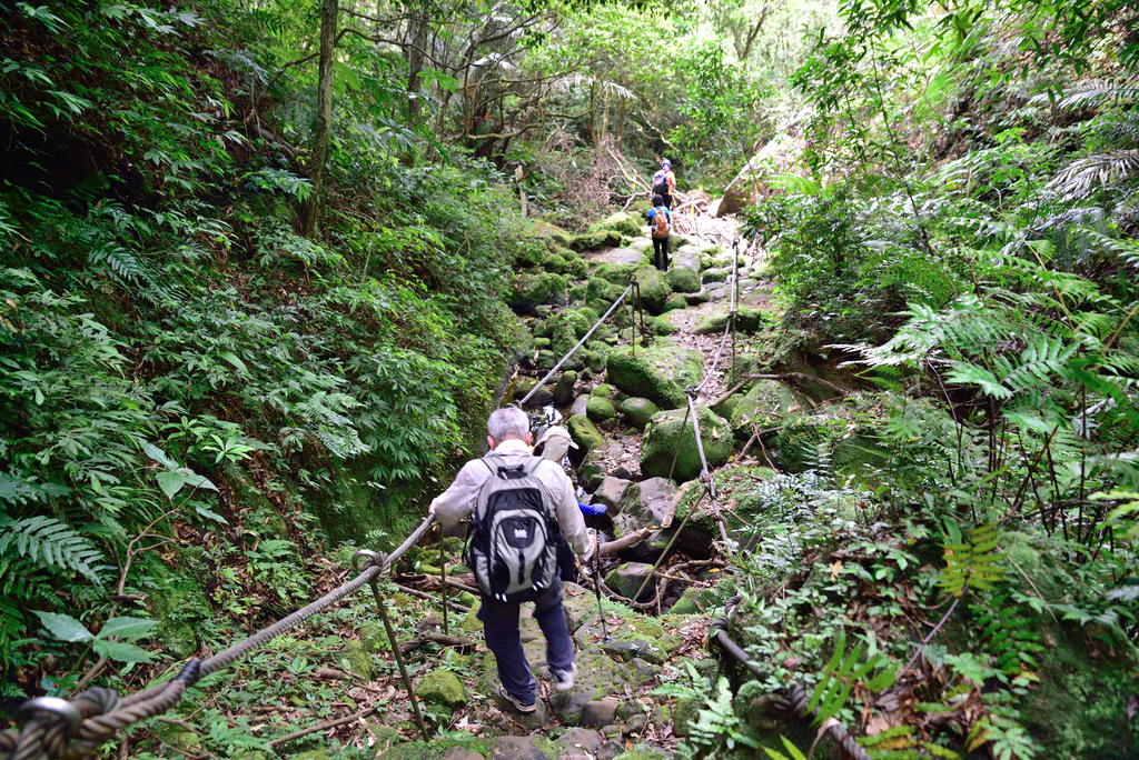 DSC_6305_2482.JPG - 2018平溪孝子山