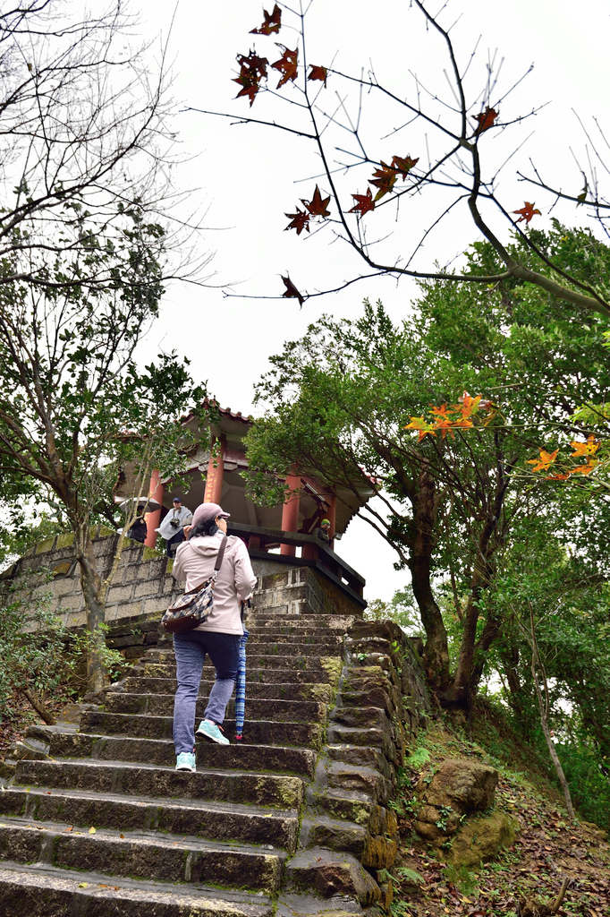 DSC_2376_5846.JPG - 楓情款款—拱北殿2020/01/01