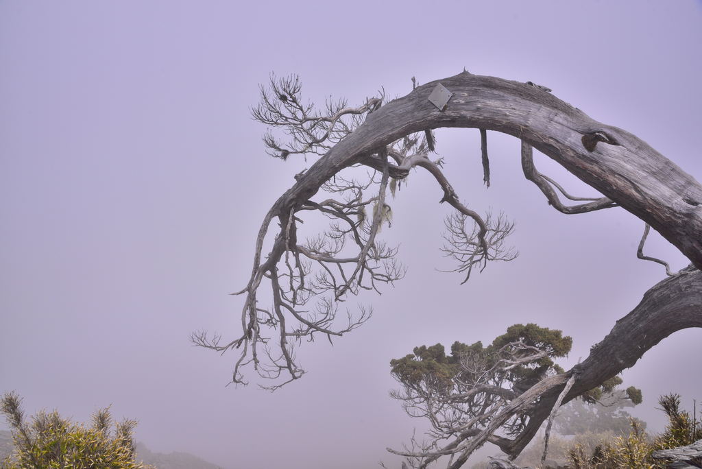 DSC_9245_4040.JPG - 南湖D2