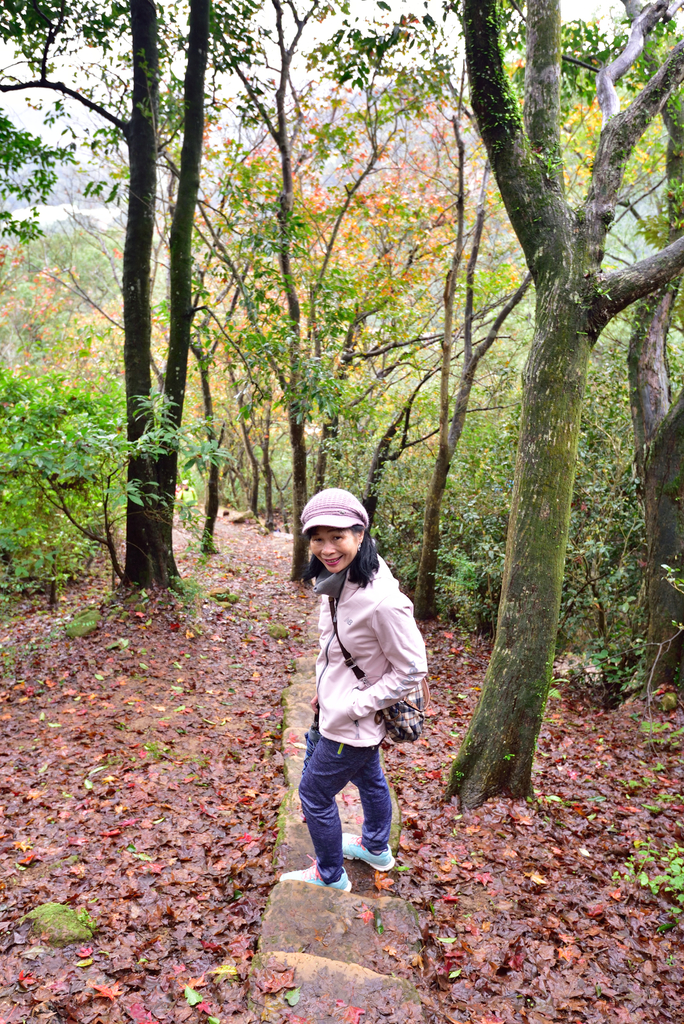 DSC_2396_5852.JPG - 楓情款款—拱北殿2020/01/01