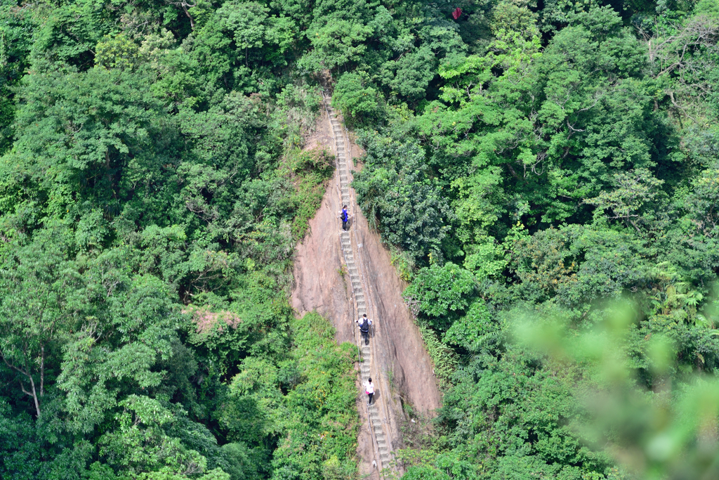 DSC_5943_2266.JPG - 2018平溪孝子山