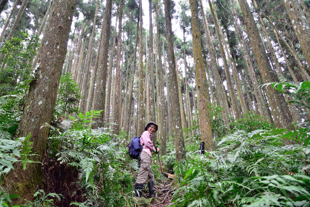 DSC_8068_3396.JPG - 2019向天湖山