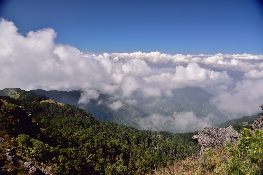 DSC_1352_5244.JPG - 2019能安縱走(上)
