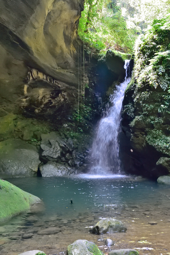 DSC_2726_6010.JPG - 0315三民蝙蝠洞登金平山