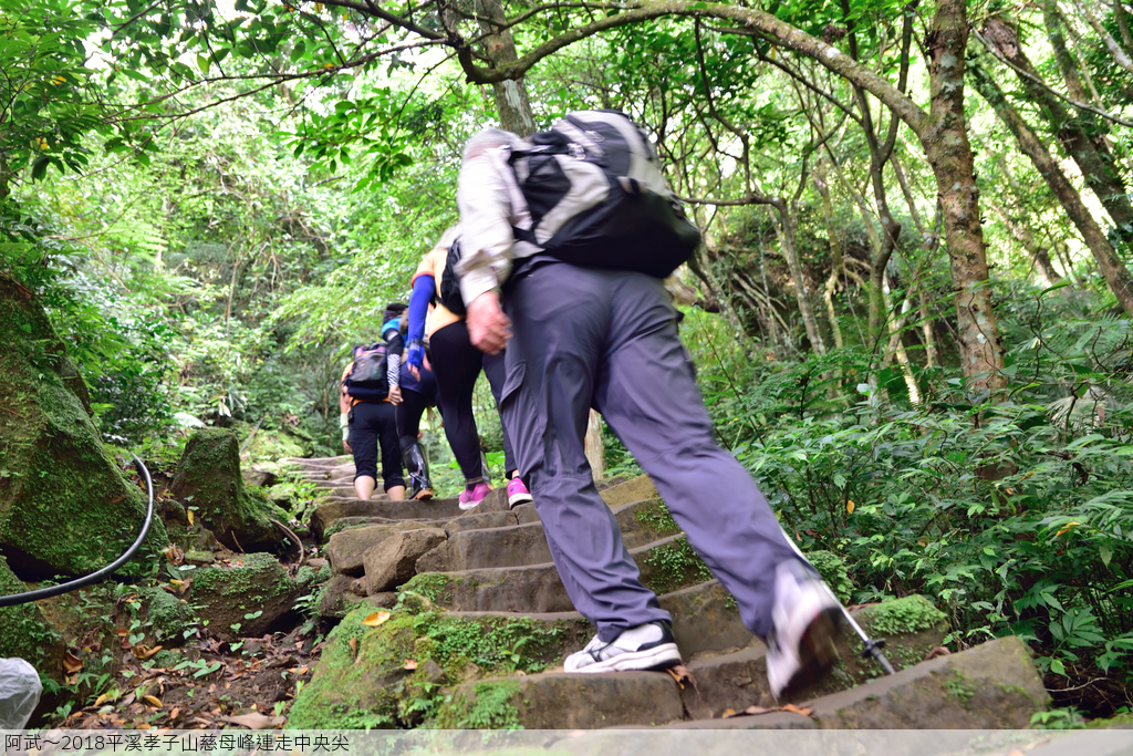 DSC_5859_2212.JPG - 2018平溪孝子山