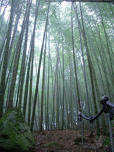 2007/11/03日月潭登水社大山