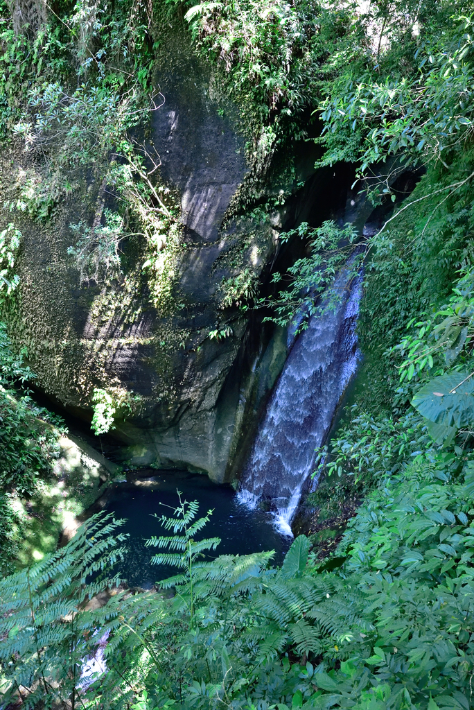 DSC_2751_6018.JPG - 0315三民蝙蝠洞登金平山
