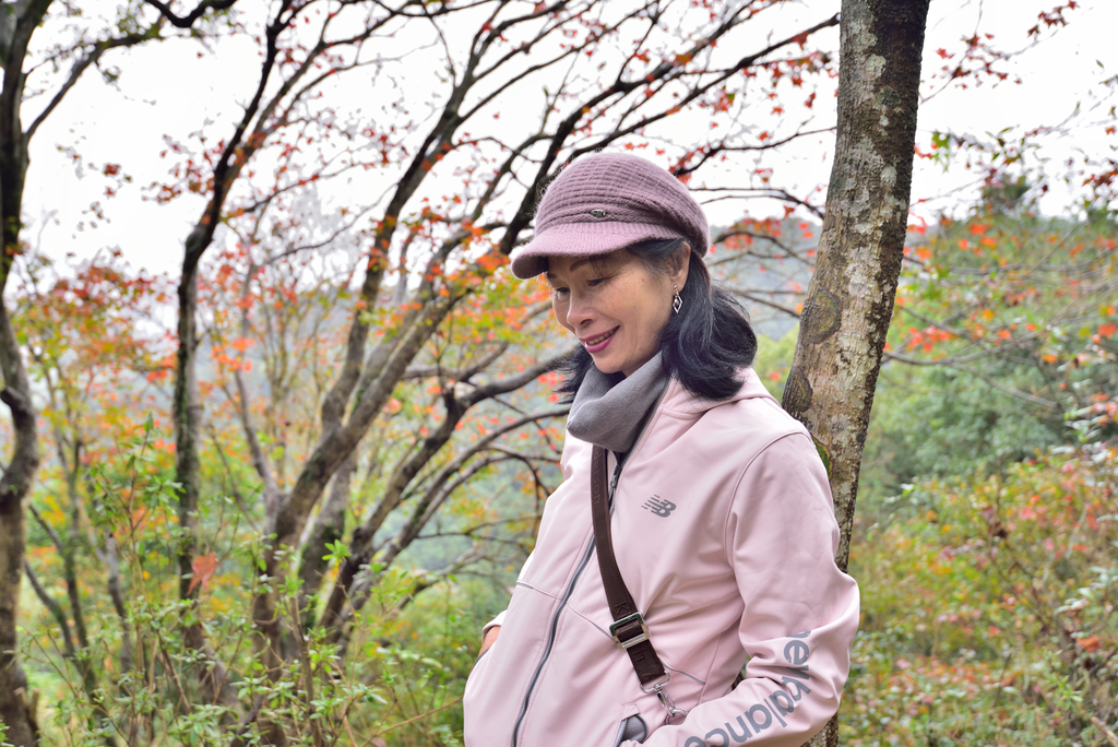 DSC_2404_5856.JPG - 楓情款款—拱北殿2020/01/01