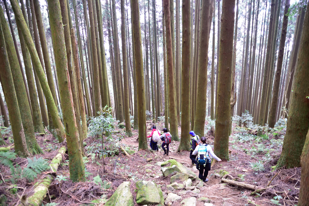 DSC_5710_2054.JPG - 2018加里山