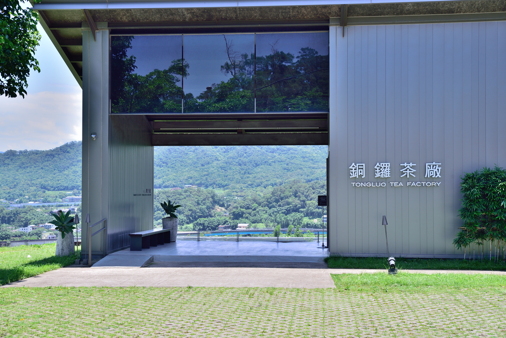 DSC_0302_4632.JPG - 0615銅鑼茶廠
