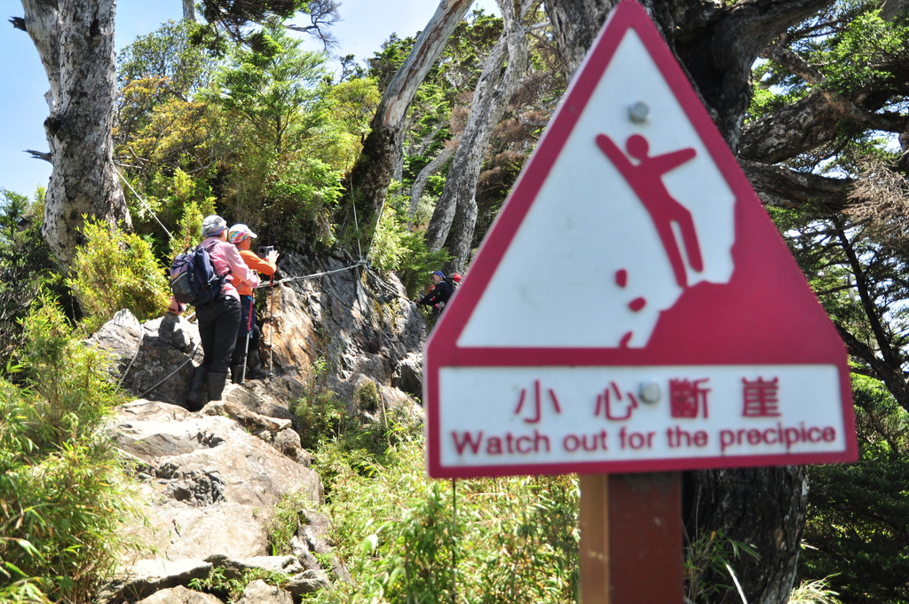 DSC_2603.JPG - 2017北大武山