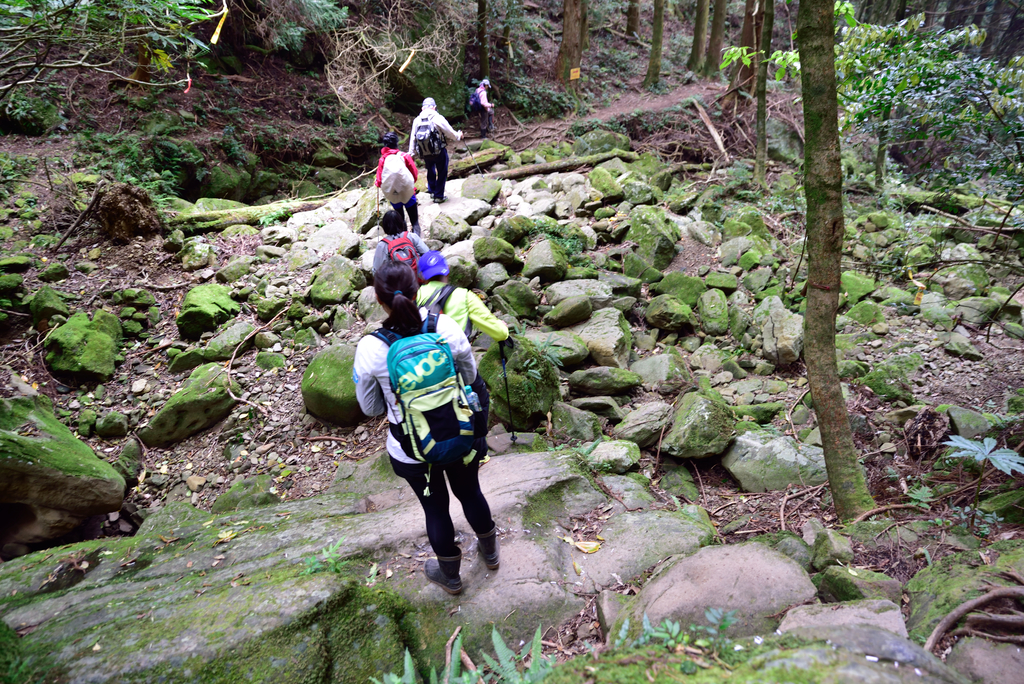 DSC_5721_2060.JPG - 2018加里山