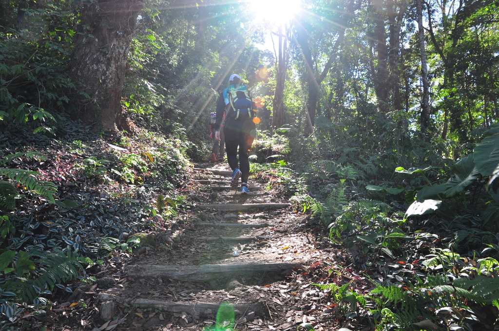 DSC_6671.JPG - 2015馬拉邦山