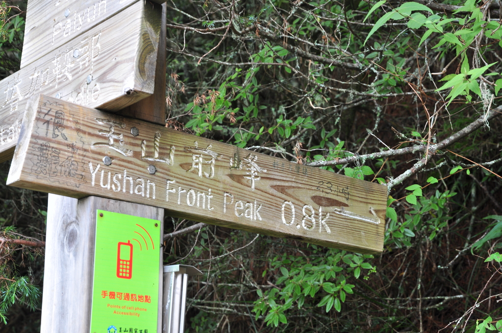 DSC_8302.JPG - 201609玉山主東峰