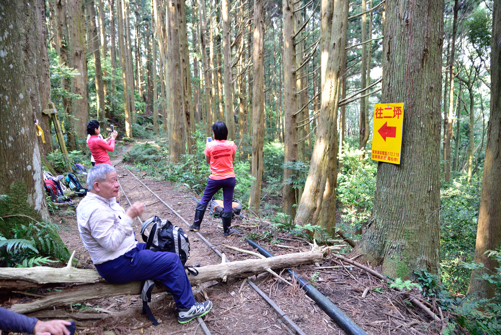 DSC_5724_2063.JPG - 2018加里山