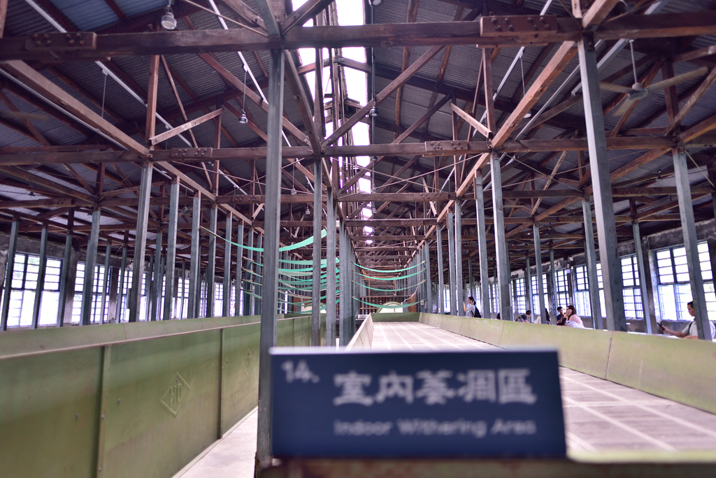 DSC_0153_4544.JPG - 2019大溪老茶廠