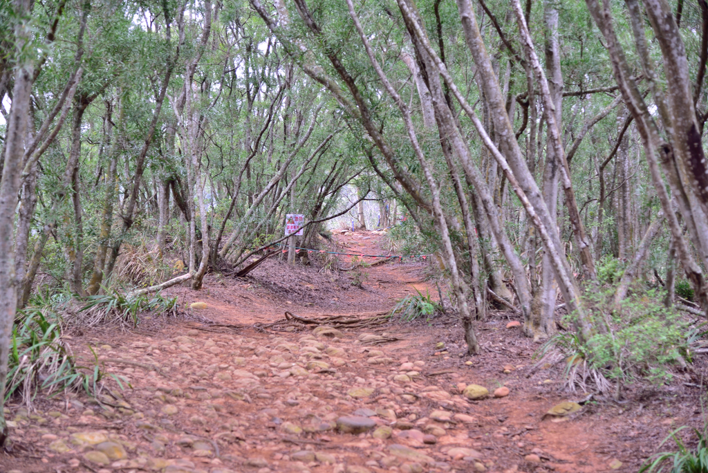 DSC_8229_3462.JPG - 2019火炎山
