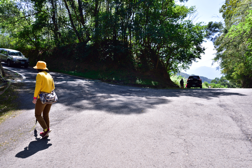 DSC_2762_6023.JPG - 0315三民蝙蝠洞登金平山