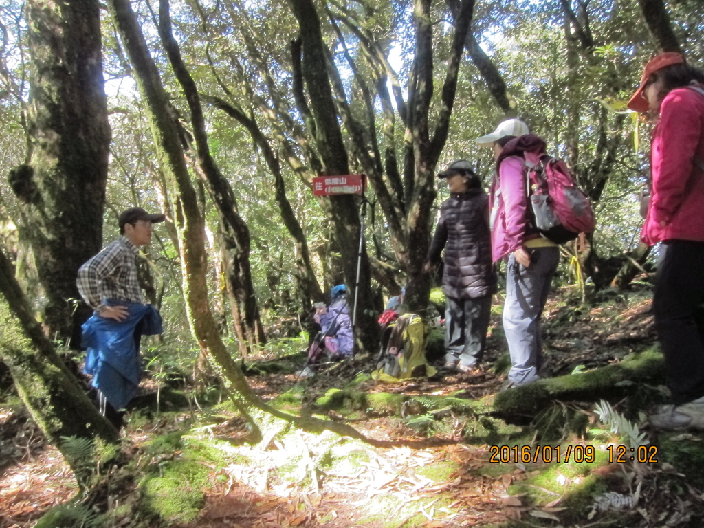 IMG_3845.JPG - 2016低陸山
