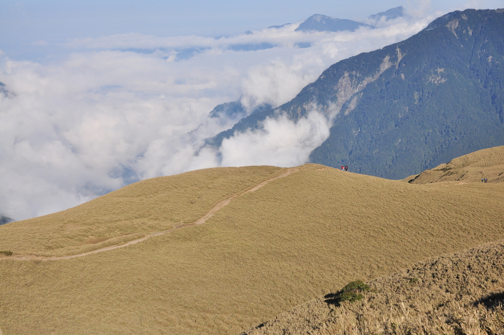 DSC_1768.JPG - 20170429合歡群峰