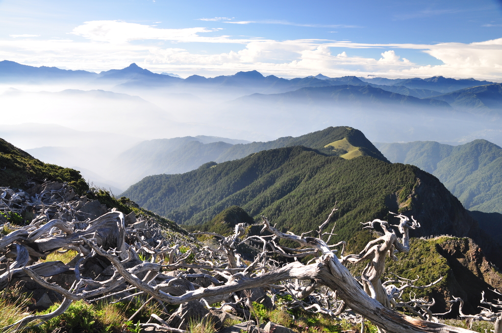 269.JPG - 20150718雪山